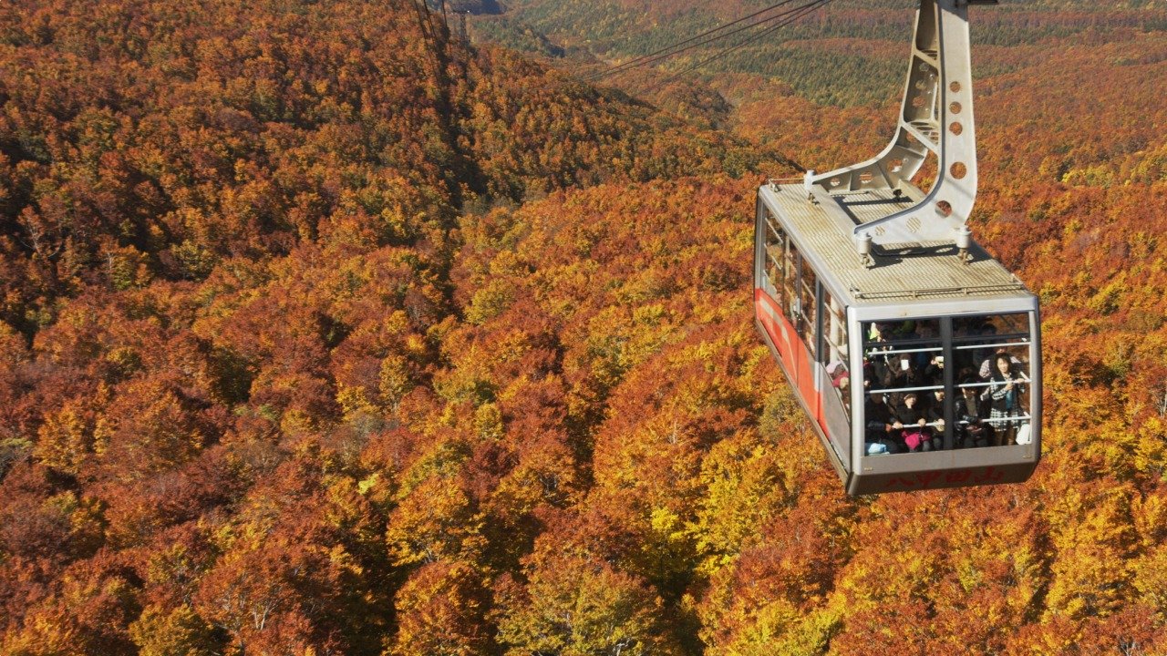 🚠 핫코다 로프웨이 산록역(핫코다 로프웨에 산로쿠에키) 이미지 1